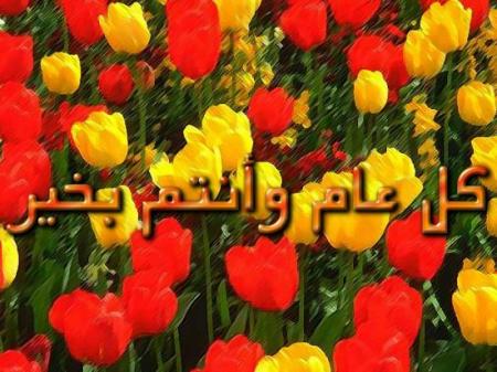 kolo 3am wa antom bikhayr